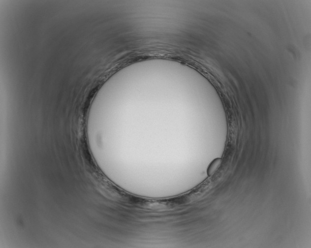 X0000111250413200907021024