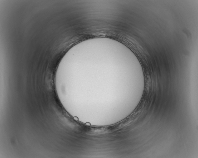 X0000111250414200907021024