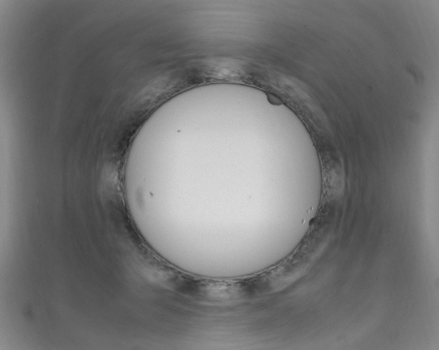X0000111250415200907021024