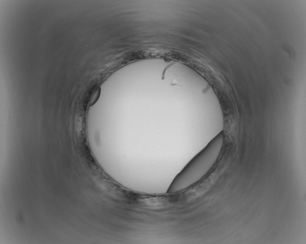 X0000111250417200907021024