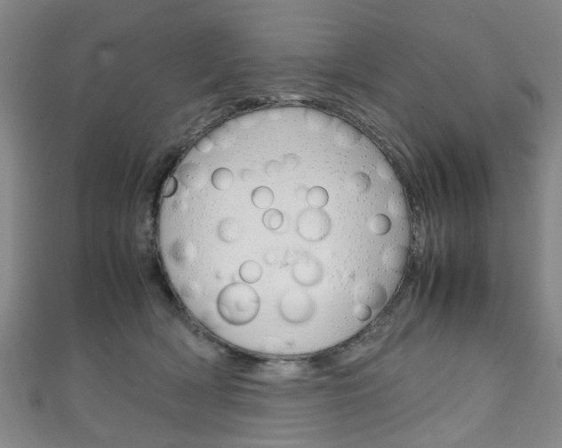 X0000111250418200907021024