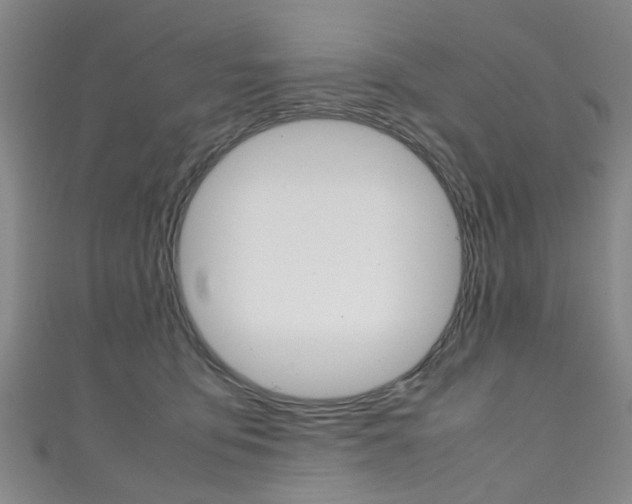 X0000111250419200907021024