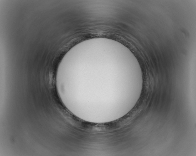X0000111250420200907021024