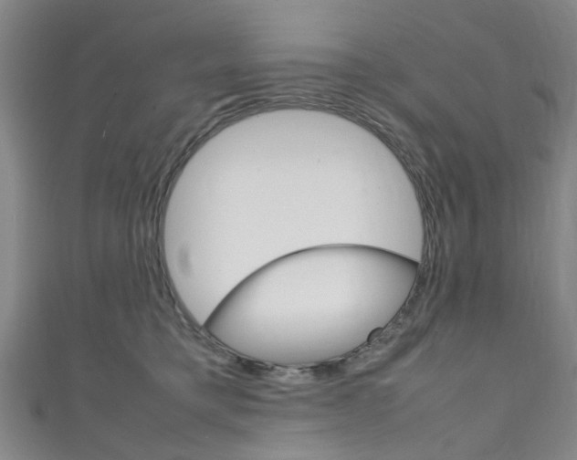 X0000111250421200907021024