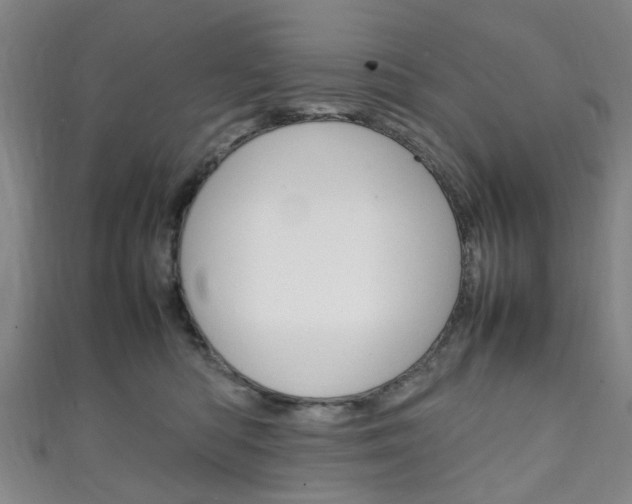 X0000111250422200907021023