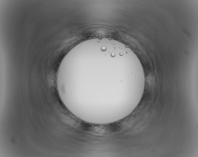 X0000111250423200907021023