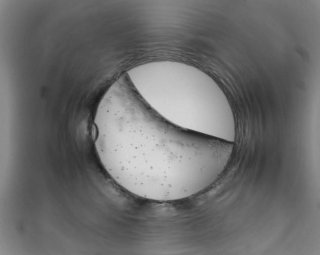 X0000111250424200907021023