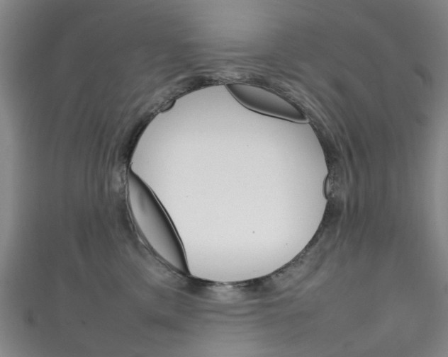 X0000111250425200907021023