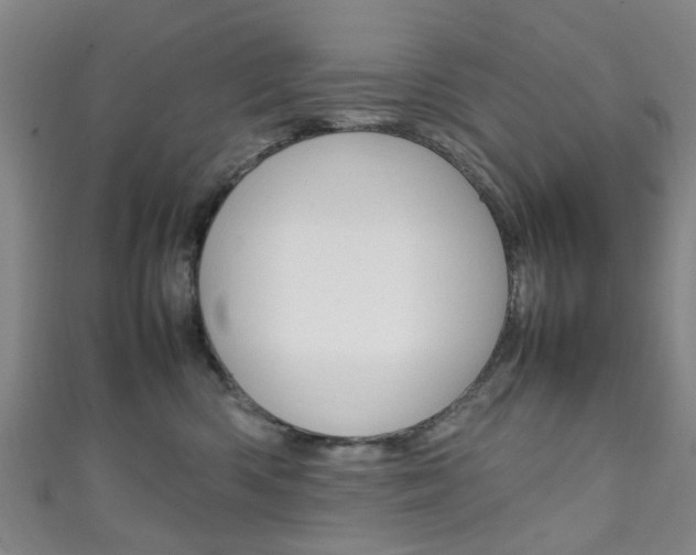 X0000111250426200907021023