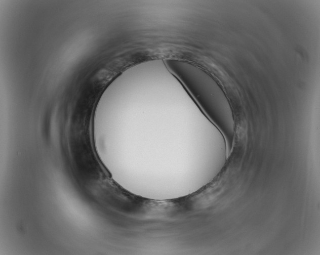 X0000111250429200907021023