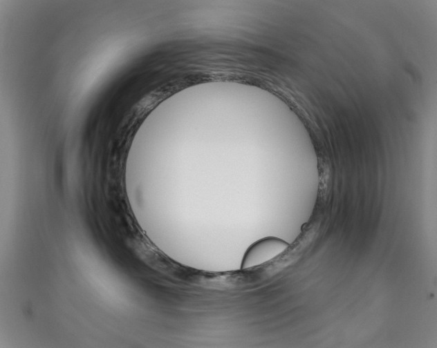 X0000111250430200907021023