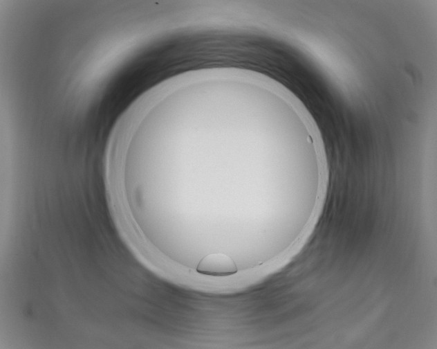 X0000111250431200907021023