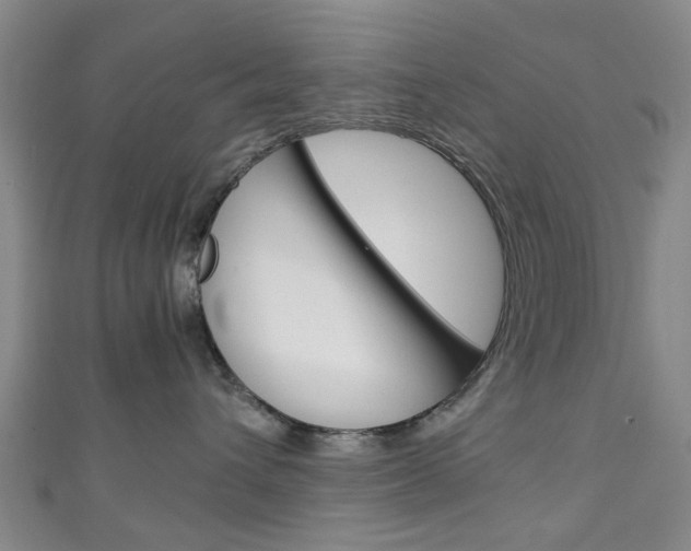 X0000111250432200907021023