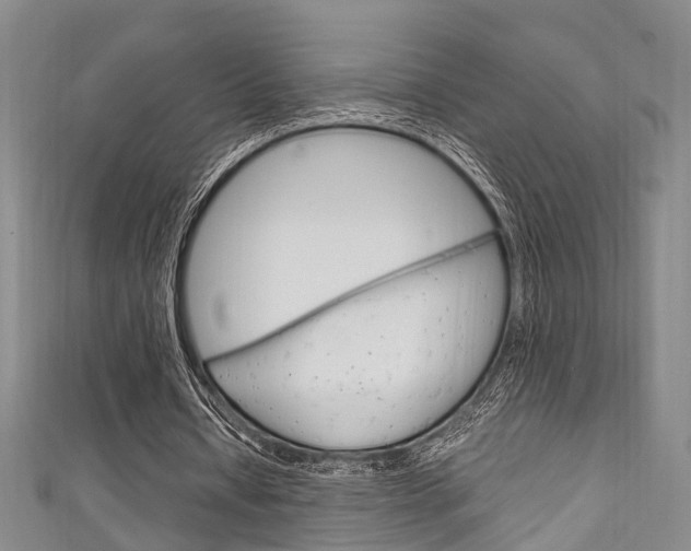 X0000111250434200907021023