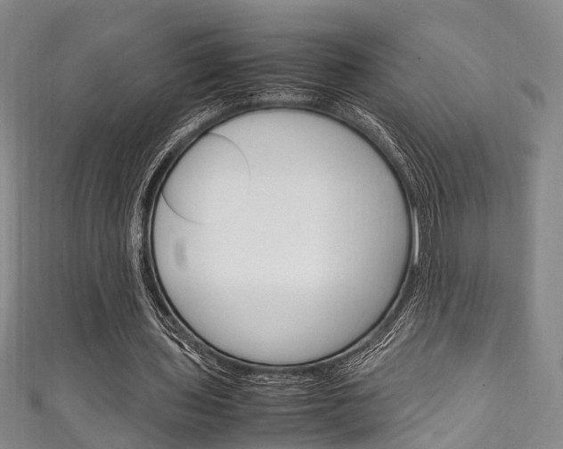 X0000111250435200907021023