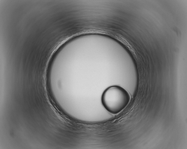 X0000111250436200907021023