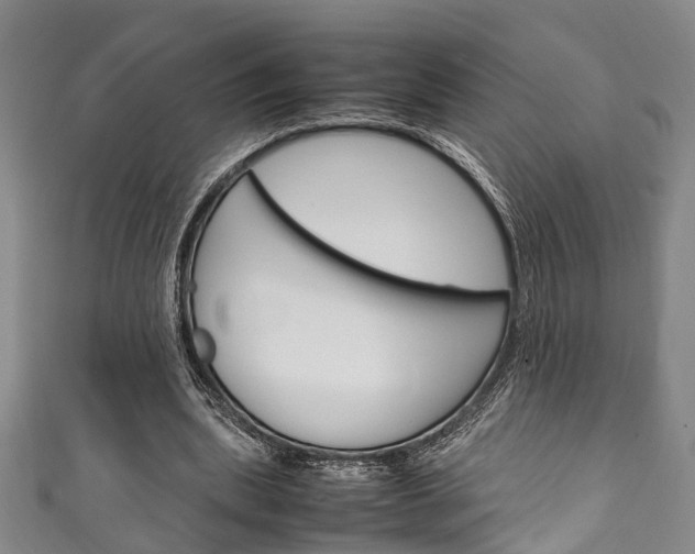 X0000111250439200907021023