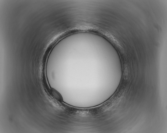 X0000111250440200907021023