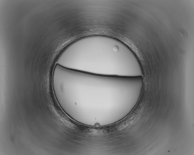 X0000111250442200907021023