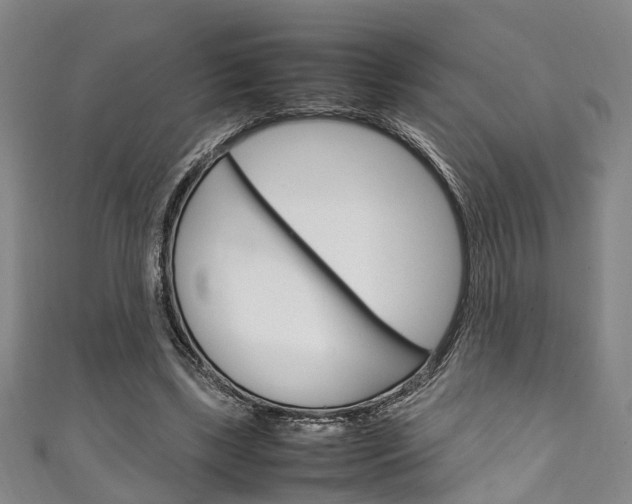 X0000111250443200907021023