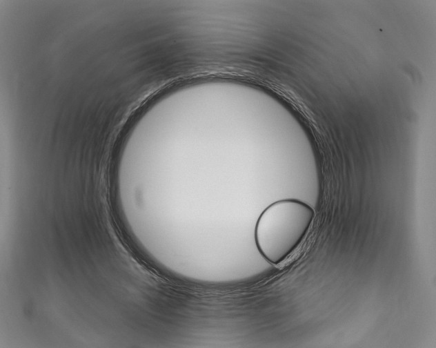 X0000111250444200907021023