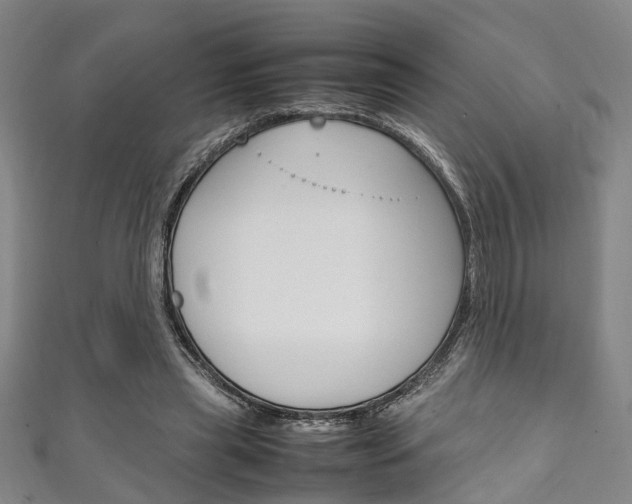 X0000111250445200907021023