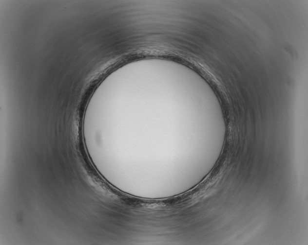 X0000111250446200907021023