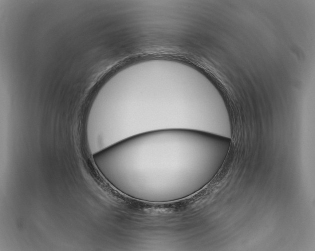 X0000111250448200907021023