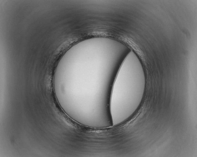 X0000111250449200907021023