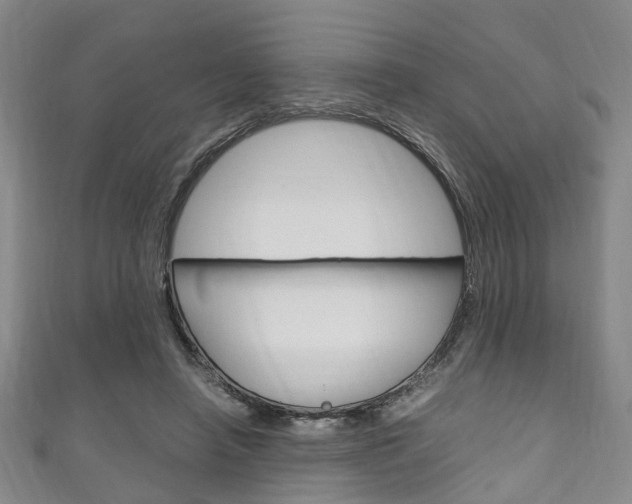 X0000111250450200907021023