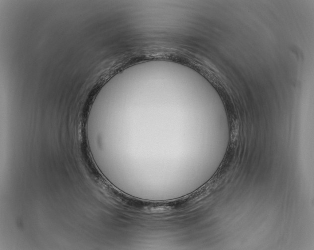 X0000111250452200907021023