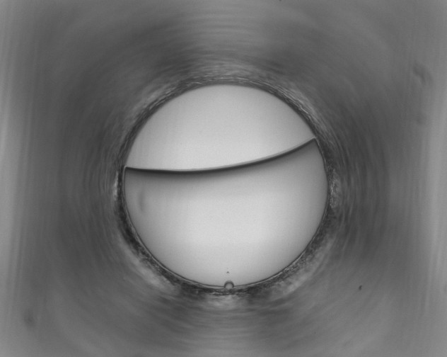 X0000111250454200907021023