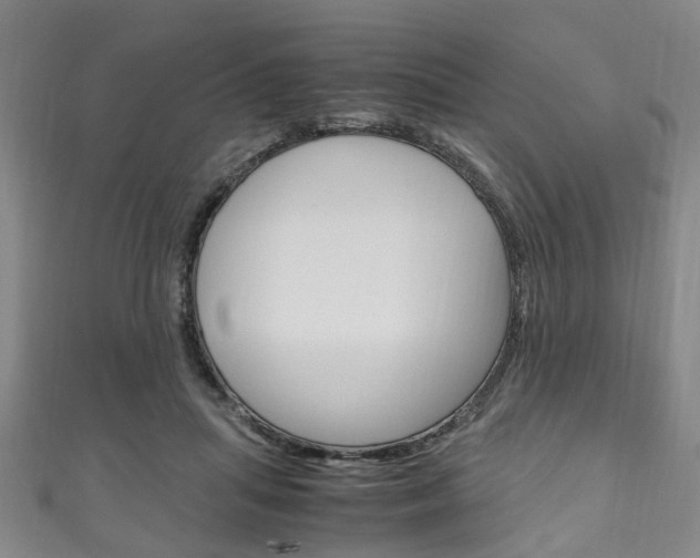 X0000111250455200907021023