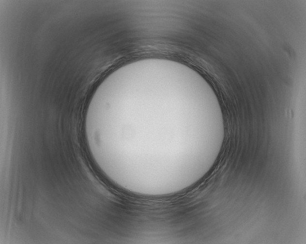 X0000111250456200907021023