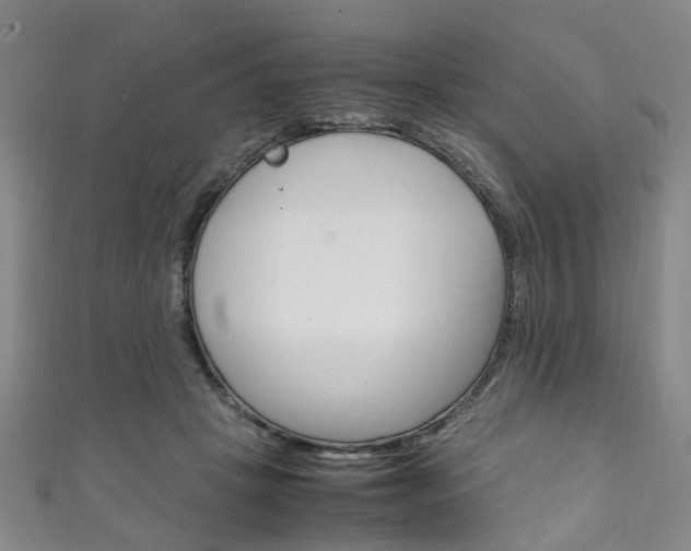 X0000111250457200907021023