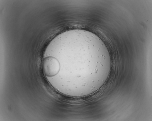 X0000111250459200907021023