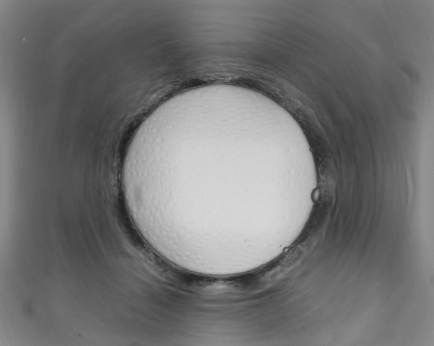 X0000111250460200907021023