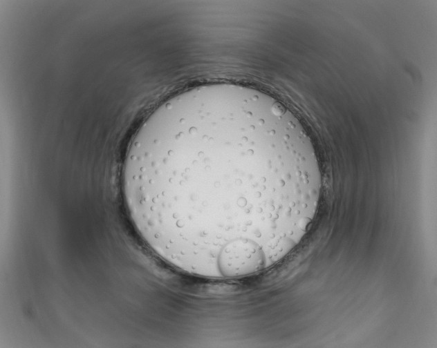 X0000111250462200907021023