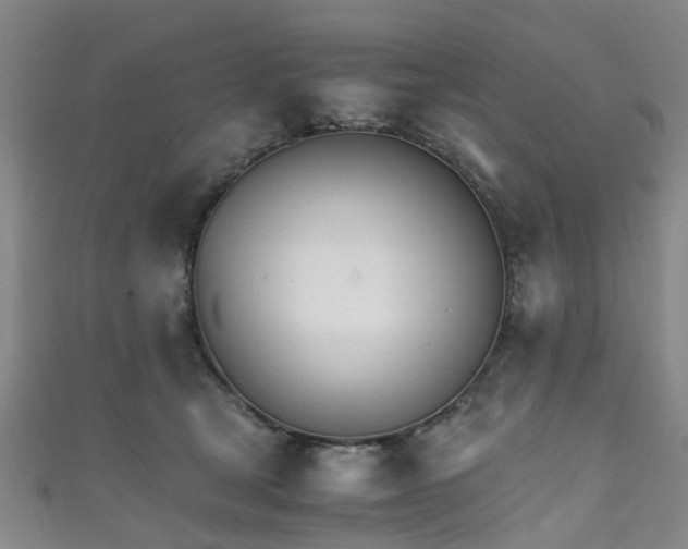 X0000111250465200907021023