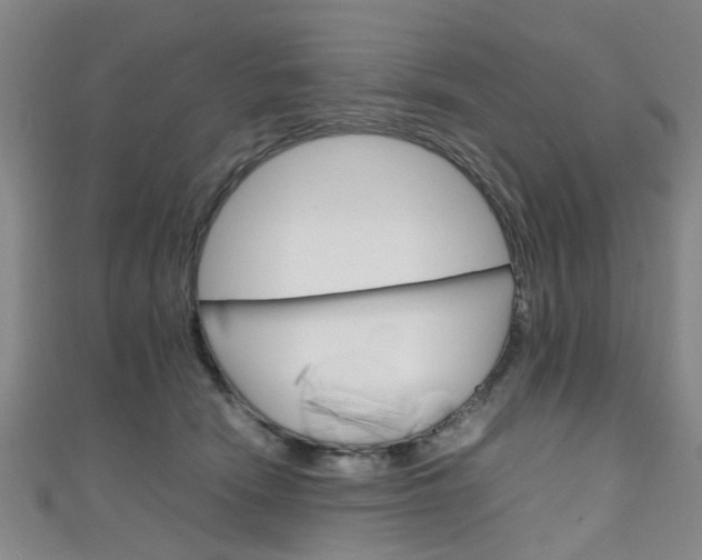 X0000111250466200907021023