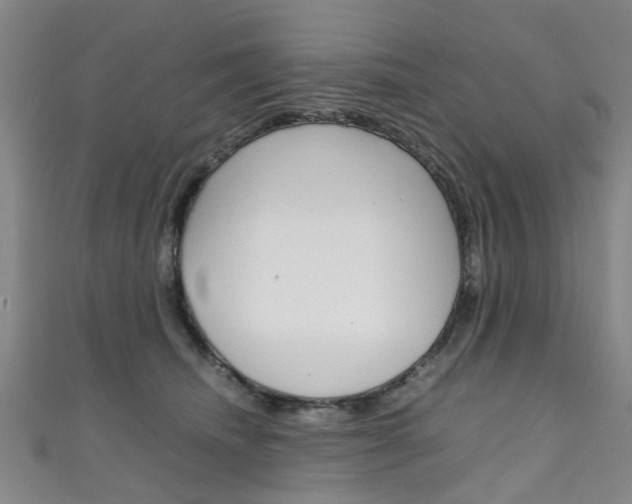 X0000111250468200907021023