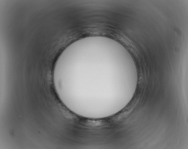 X0000111250469200907021023