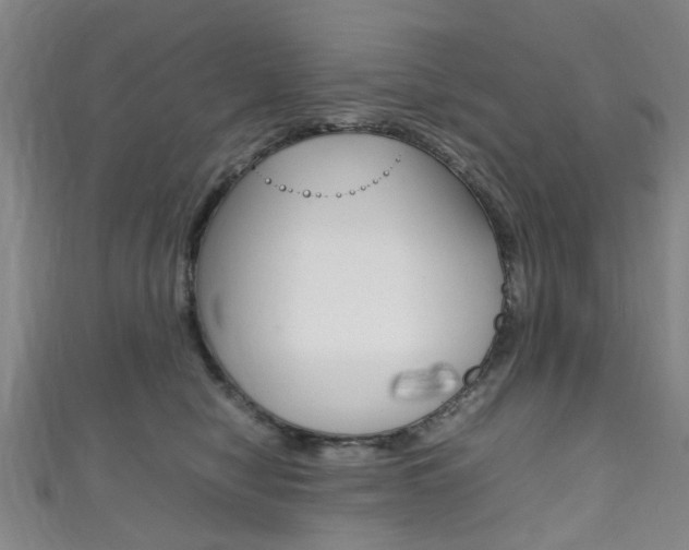 X0000111250470200907021023