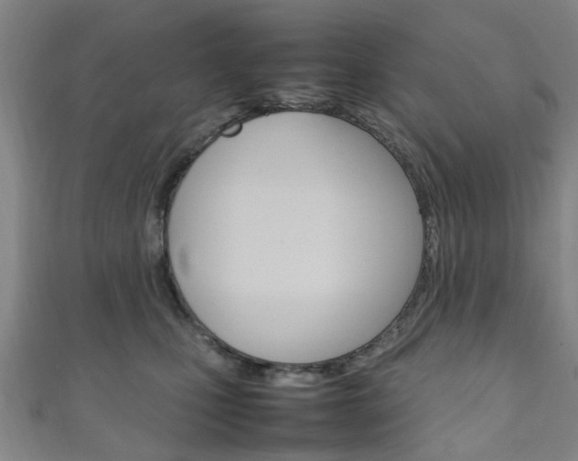 X0000111250471200907021023