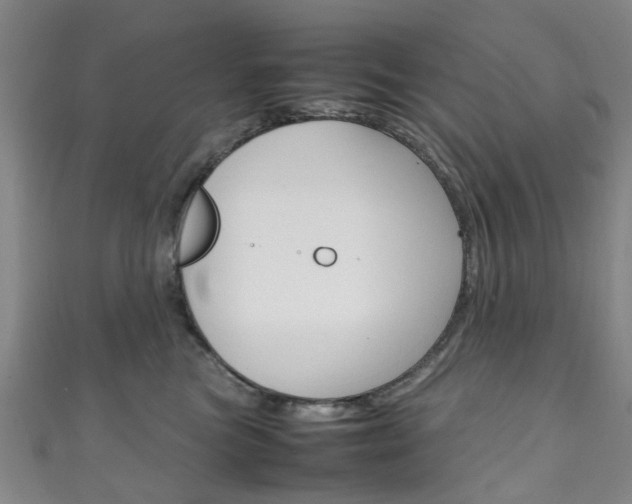 X0000111250473200907021023