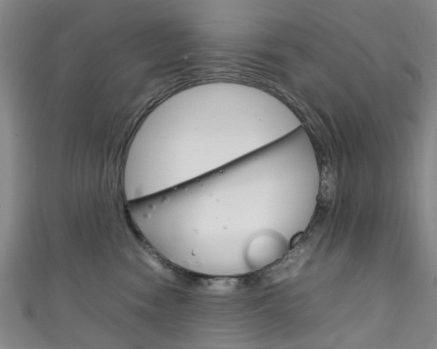 X0000111250474200907021023