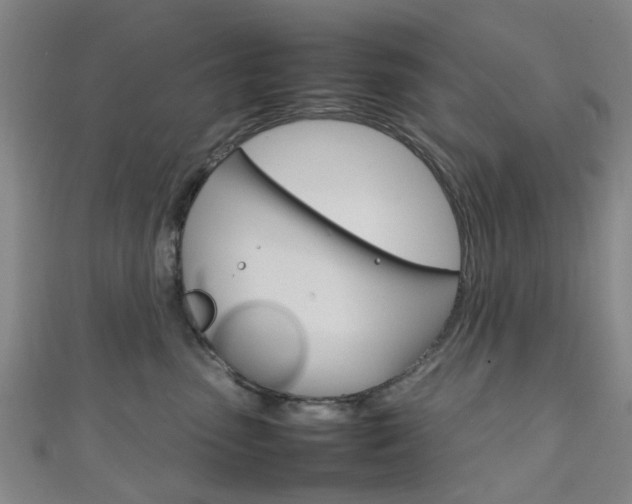 X0000111250475200907021023