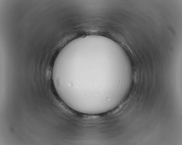 X0000111250476200907021023