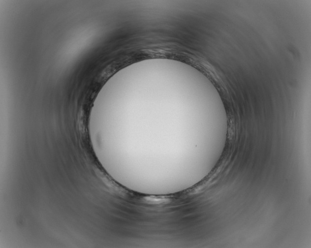 X0000111250477200907021023