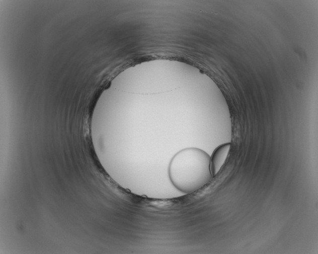 X0000111250478200907021023